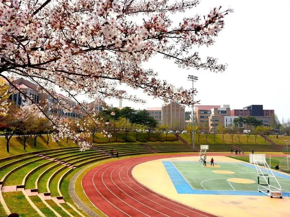 trường đại học mokwon hàn quốc