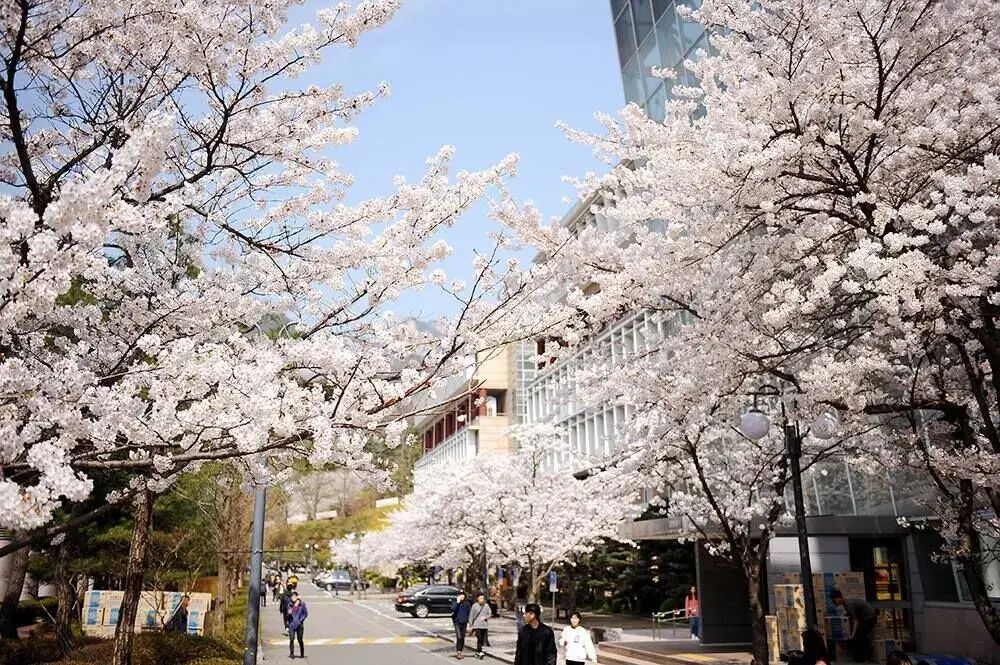 trường đại học kookmin hàn quốc
