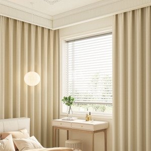 Rèm cửa 1 lớp TV2012