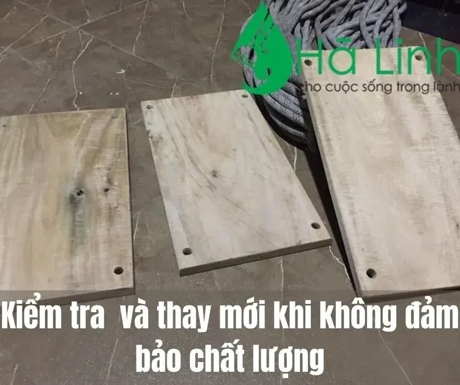 mam-ngoi-du-day-lau-kinh