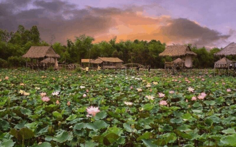 Y DƯỢC XANH MỞ RỘNG HỢP TÁC ĐỒNG THÁP