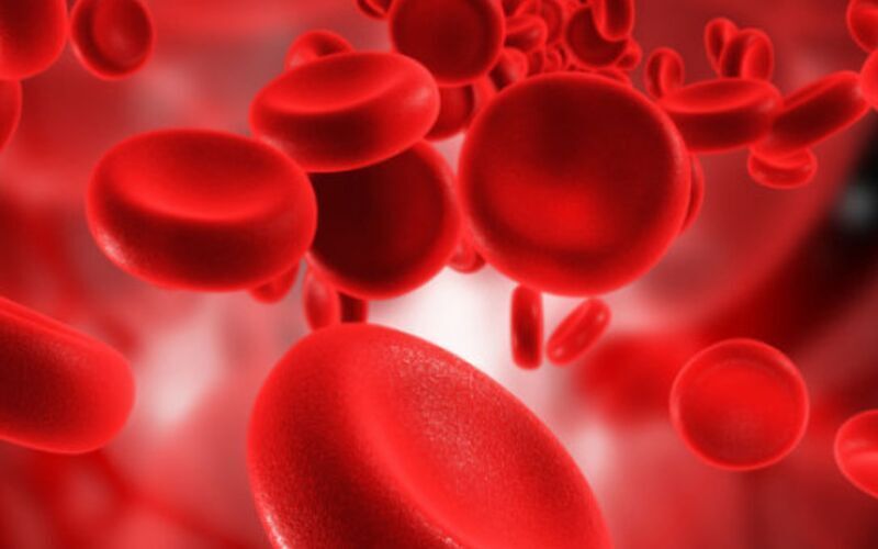 Những hiểu biết mới về bệnh thiếu máu do thiếu sắt ở trẻ em: Một đánh giá thực tế