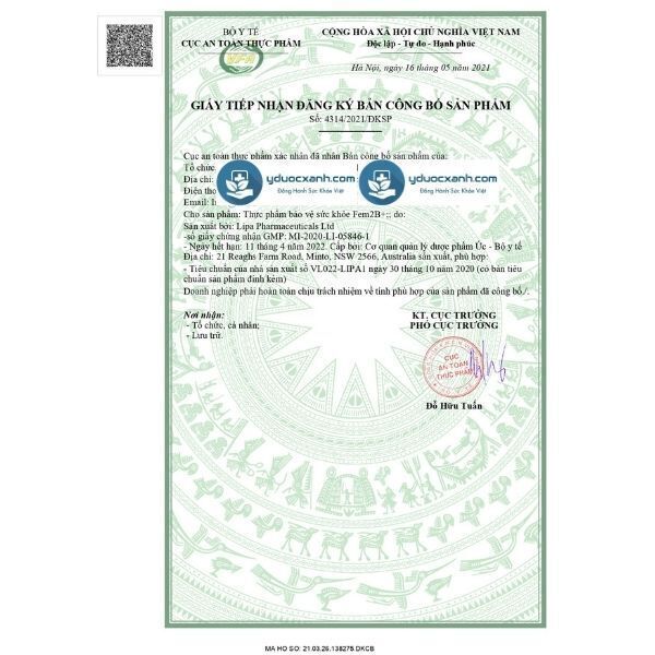 fem2b+, 30 viên, viên uống vitamin tổng hợp cho bà bầu của úc