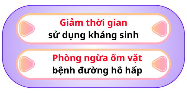 Y Dược Xanh