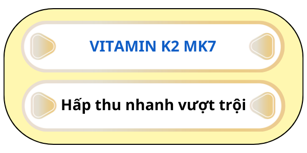 Y Dược Xanh
