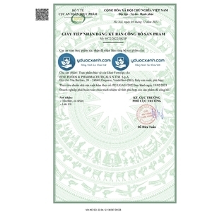 FERROLIP, 20 gói, Gói sắt sinh học bổ sung sắt cho bà bầu, người thiếu máu của Ý